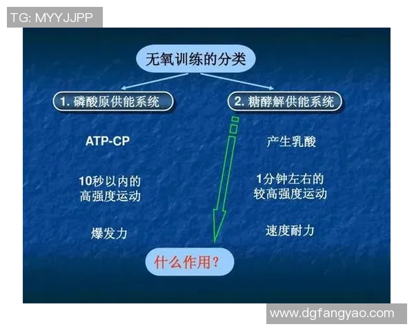武汉羽毛球队力量表现数据分析揭示运动员潜力与训练效果的深度关系